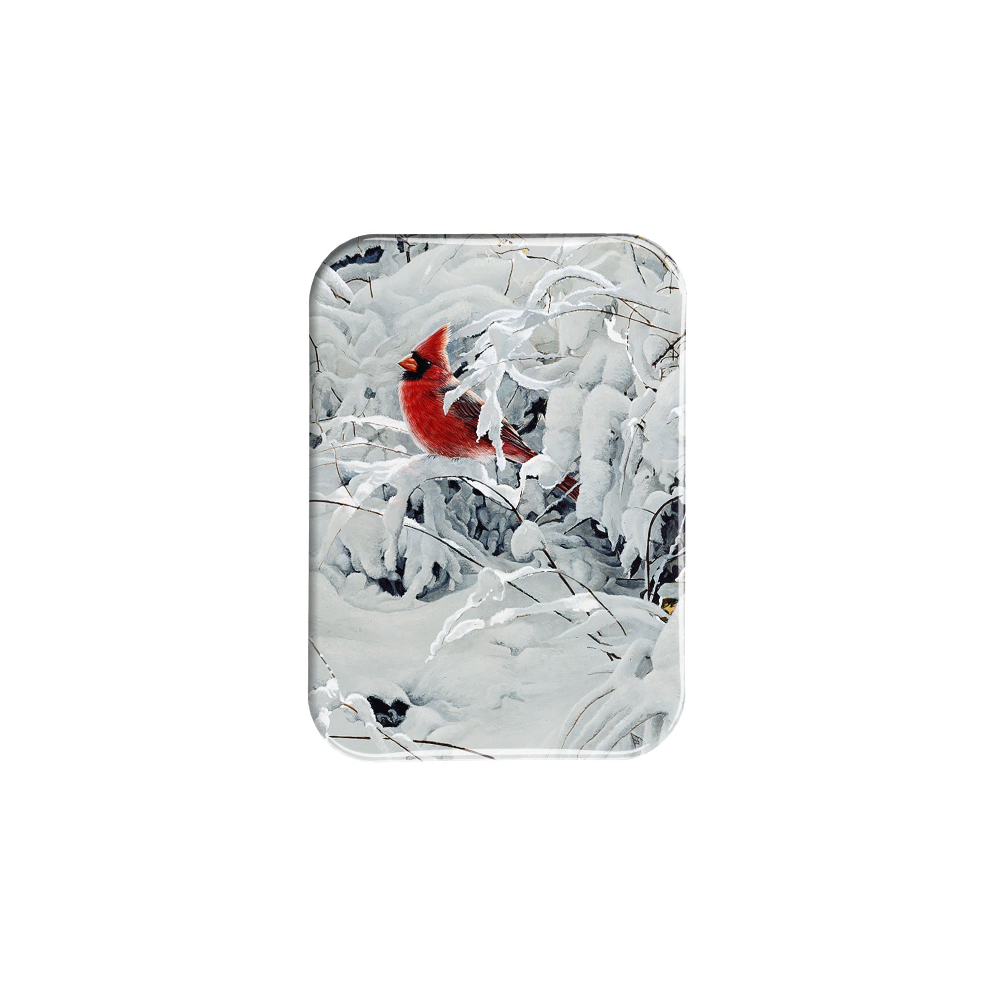 "Winter Red" - 2.5" X 3.5" Rectangle Fridge Magnets