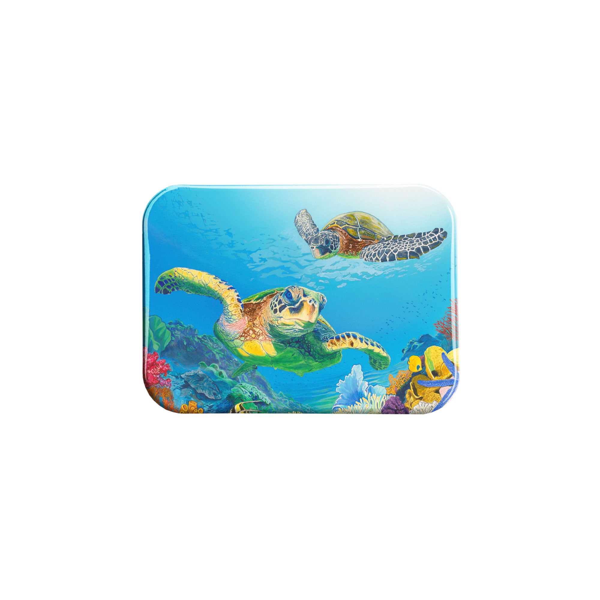 "Sea Turtle Treasures" - 2.5" X 3.5" Rectangle Fridge Magnets