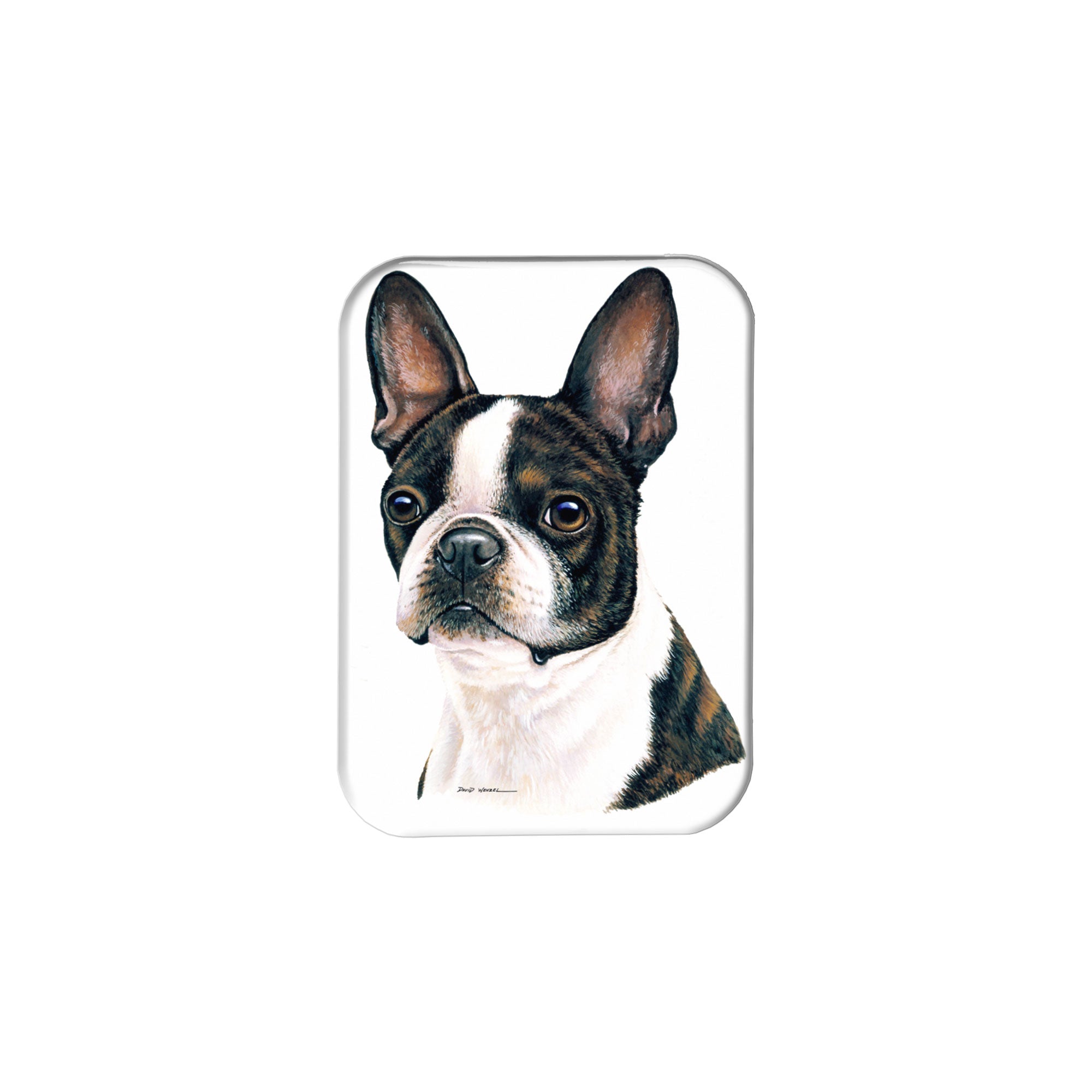 "Boston Terrier" - 2.5" X 3.5" Rectangle Fridge Magnets