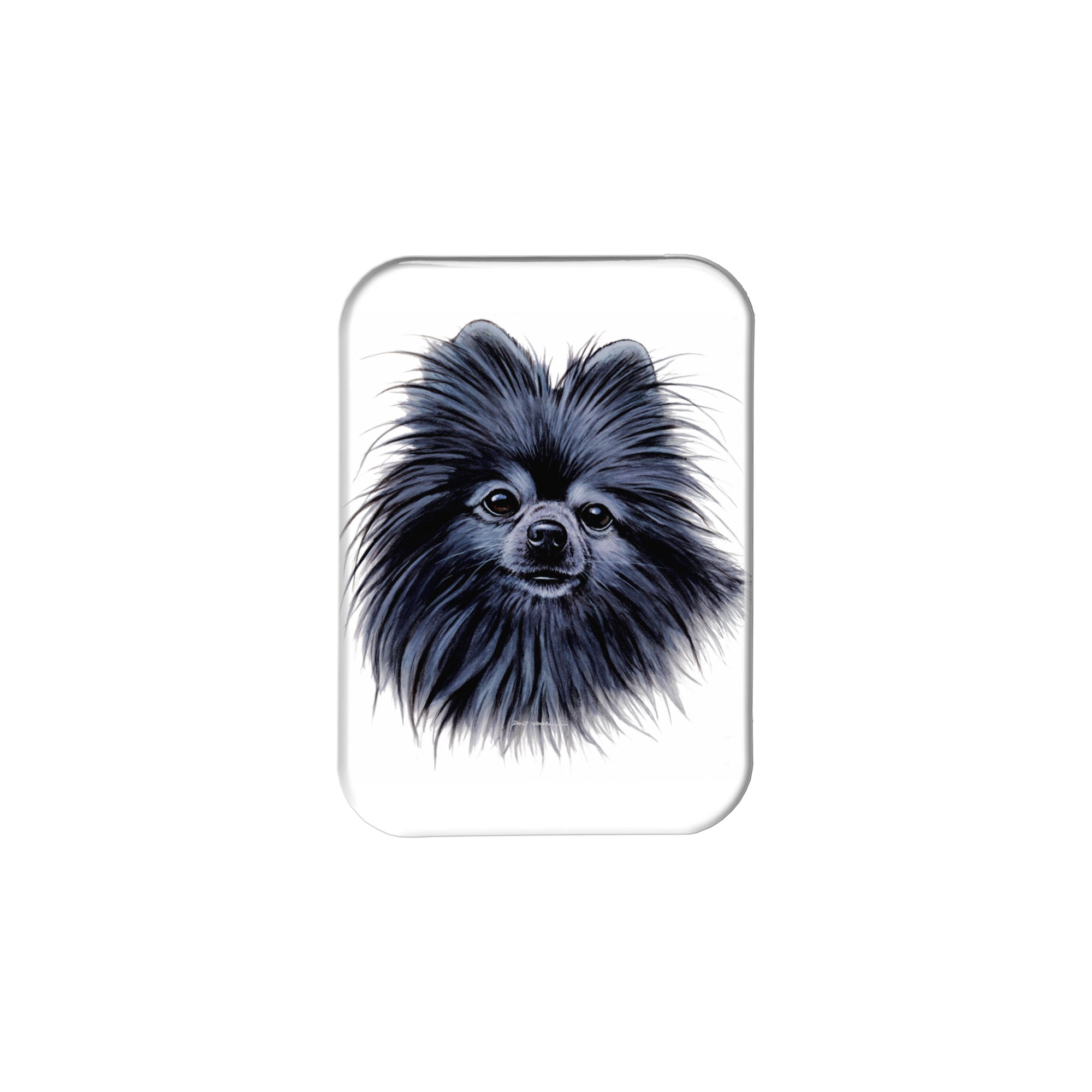 "Black Pomeranian" - 2.5" X 3.5" Rectangle Fridge Magnets